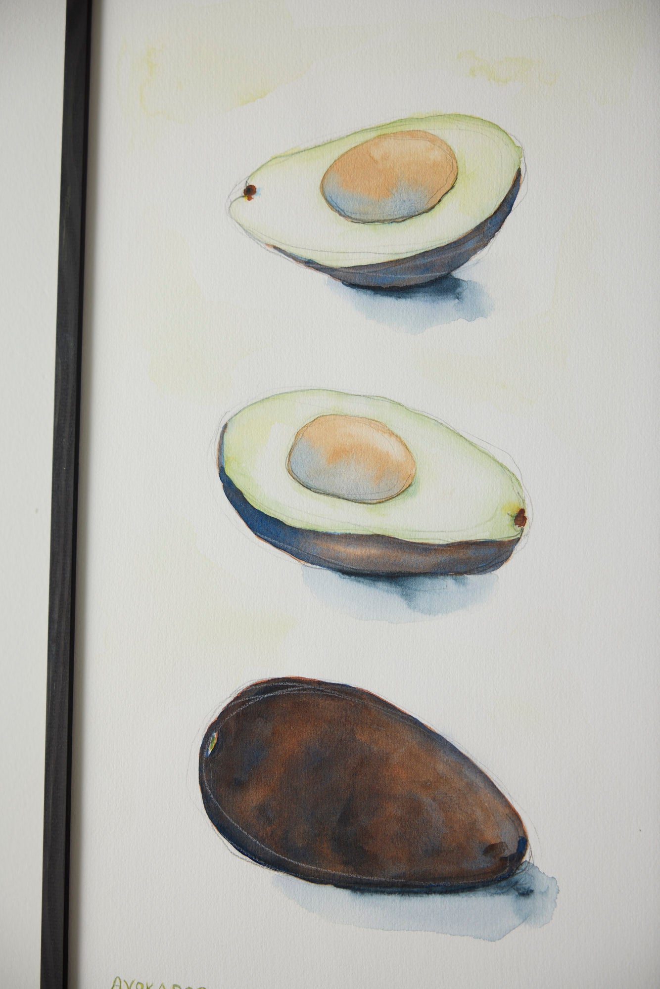 Avocados - Lotte Neupart