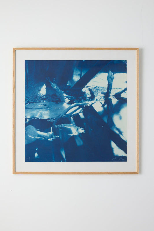 Kew Garden 1 - Katrine Lyck