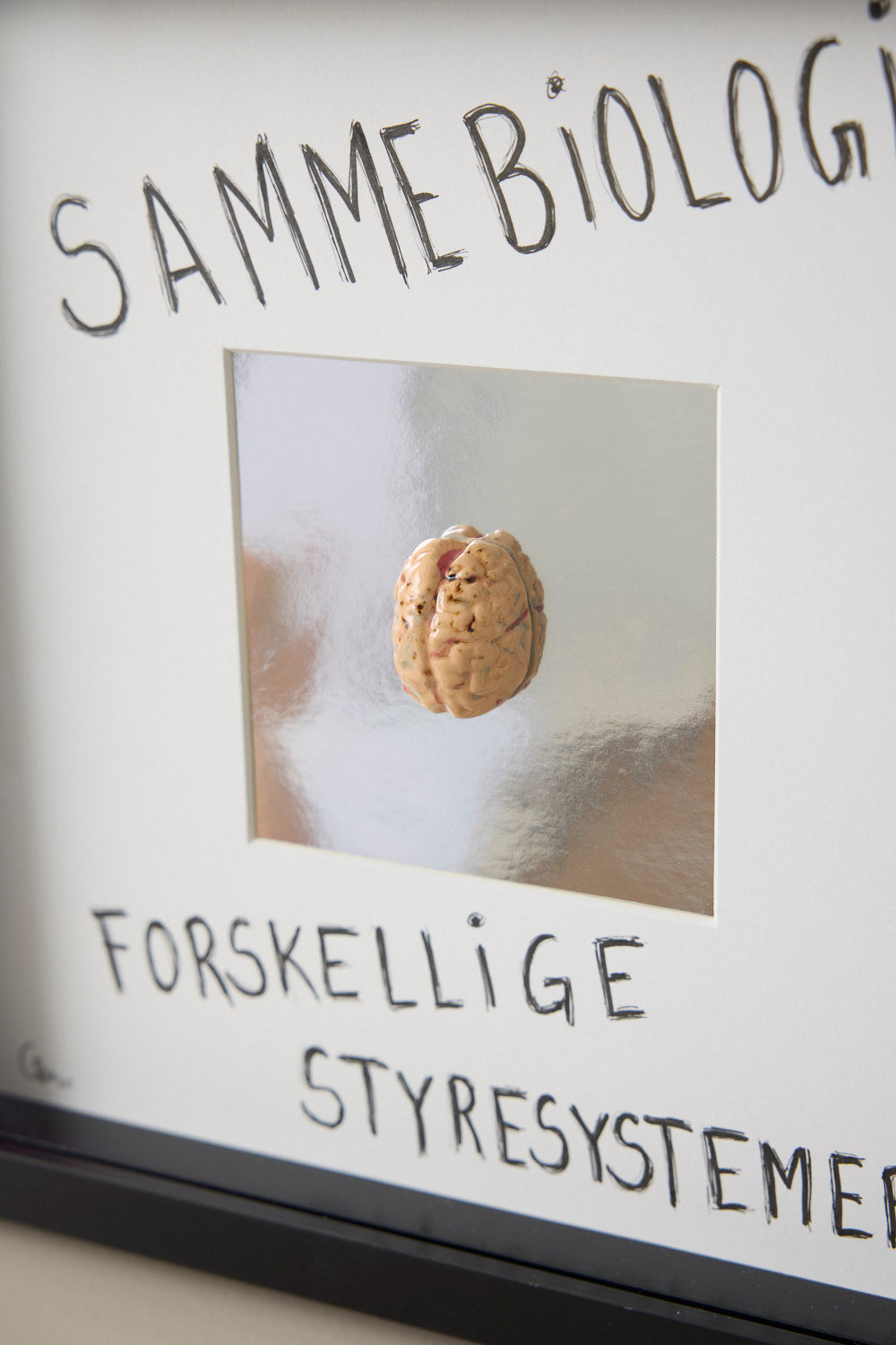 Hjerne #3- Camilla Riise