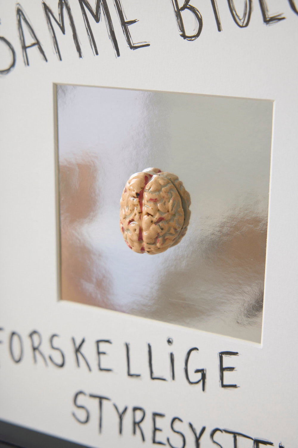 Hjerne #5