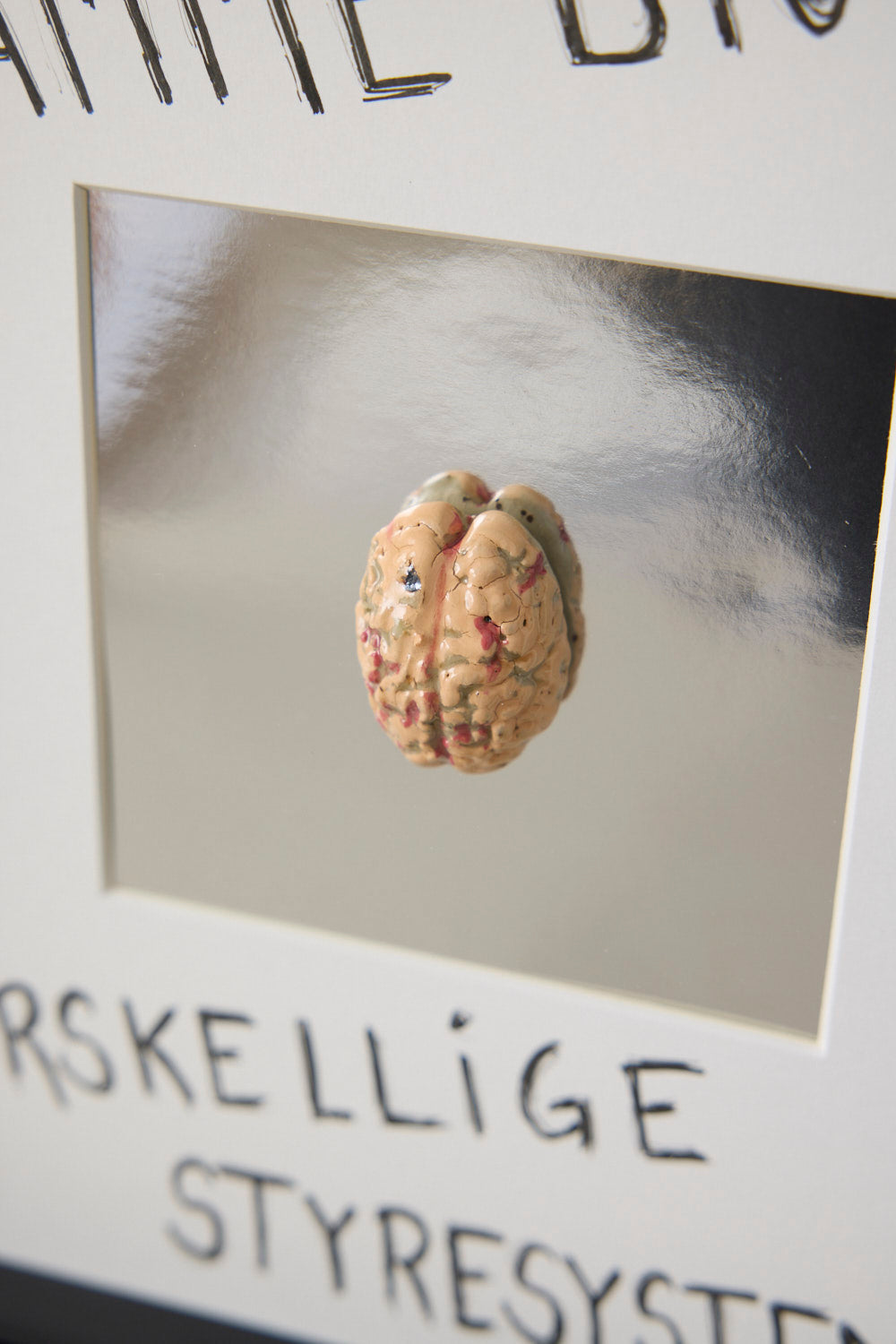 Hjerne #6