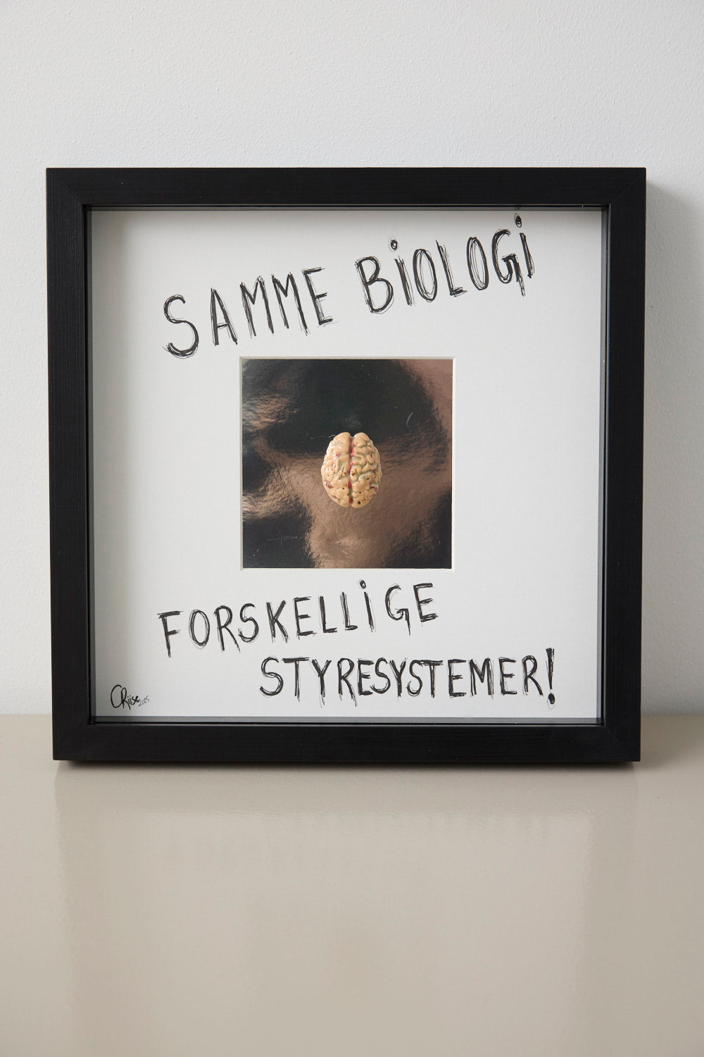 Hjerne #7 - Camilla Riise