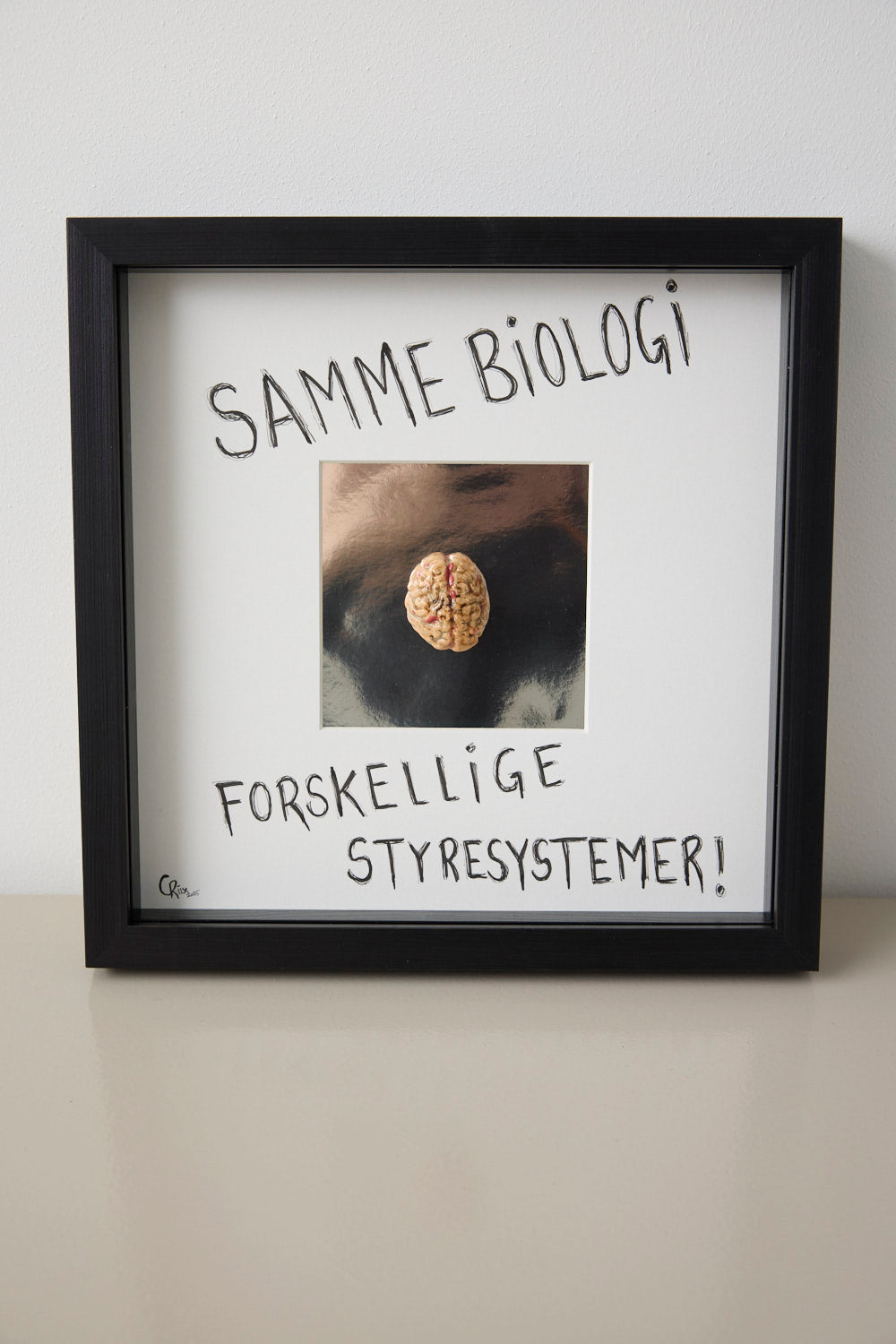 Hjerne #8