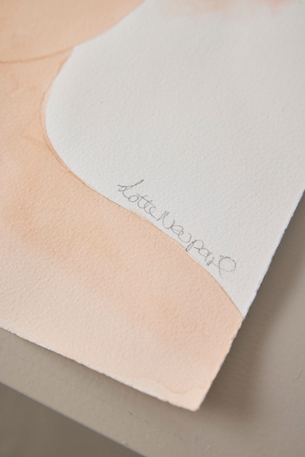 Rosehead - Lotte Neupart