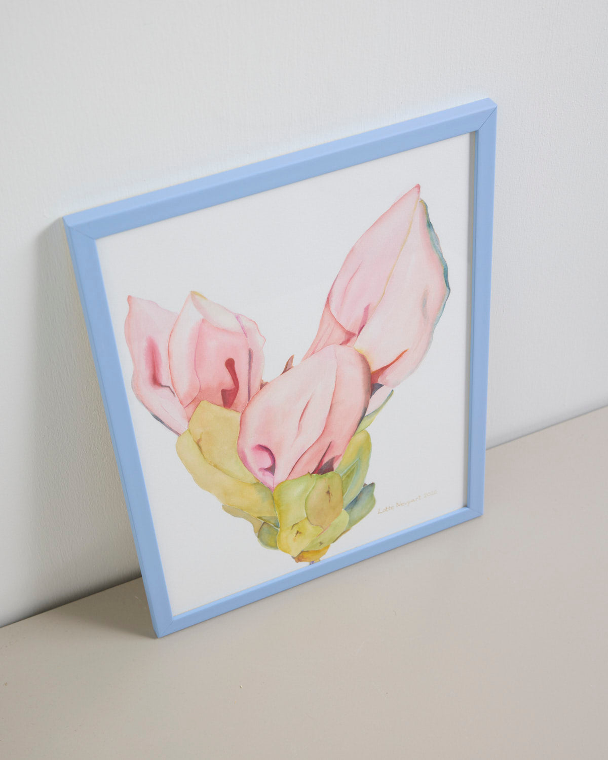 Rhododendronknop - blomsterknop