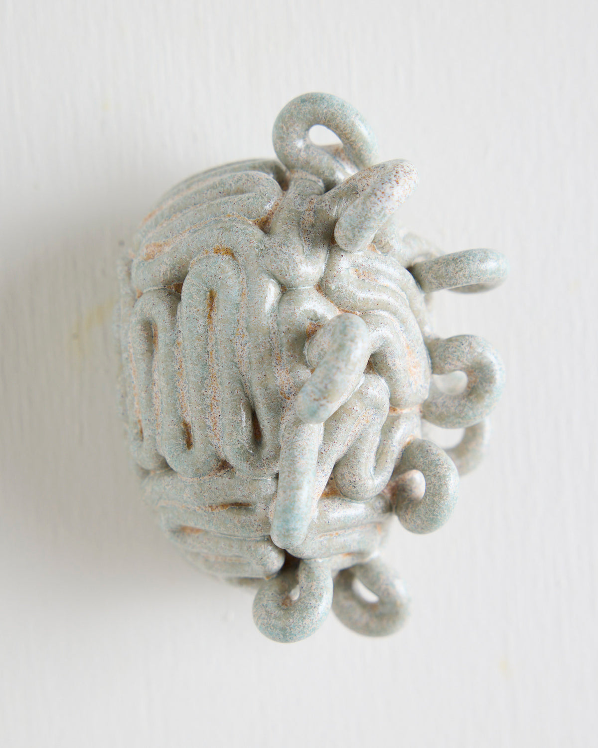 Krøllet Hjerne mini No. 40