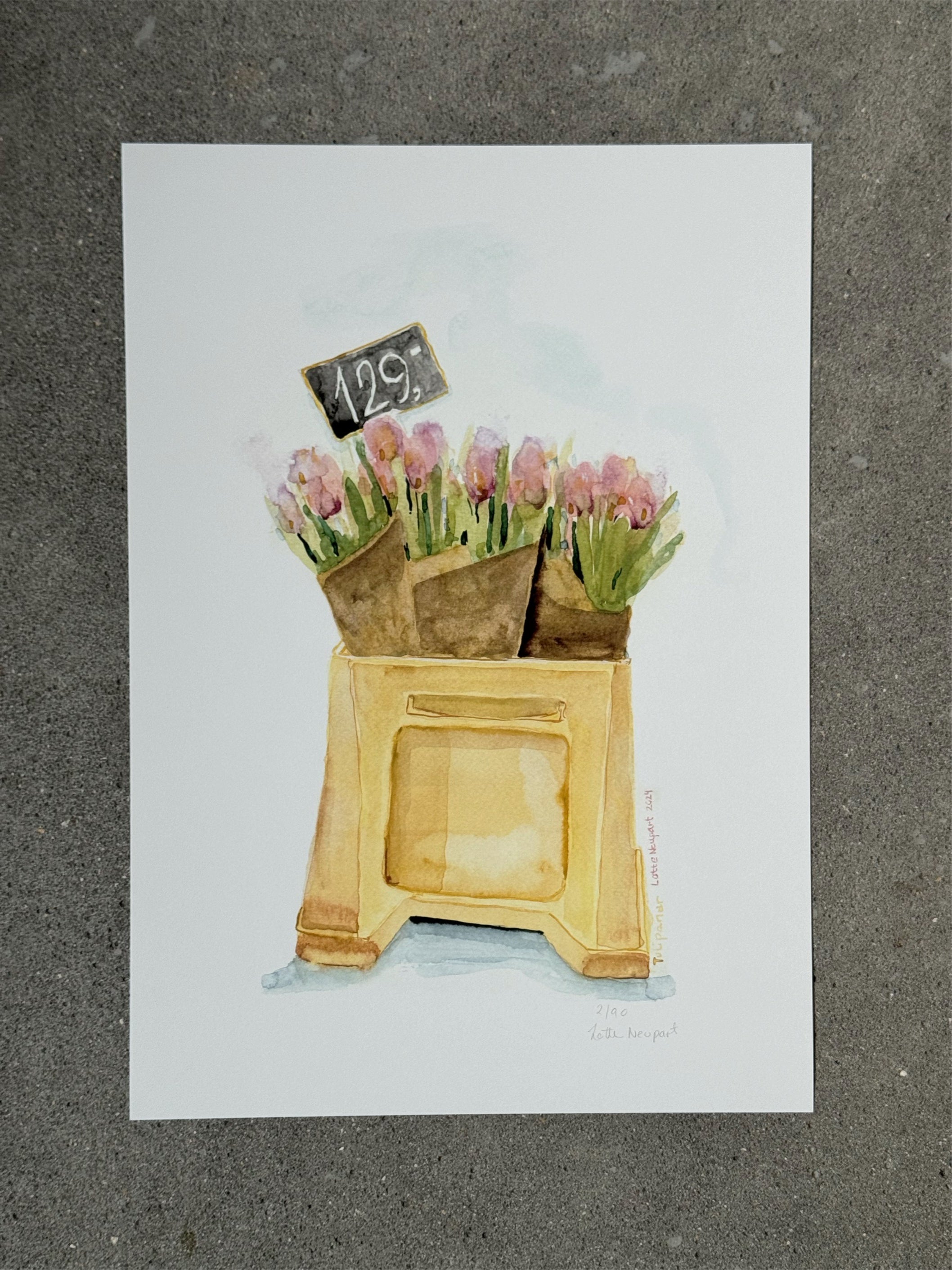 Tulipaner