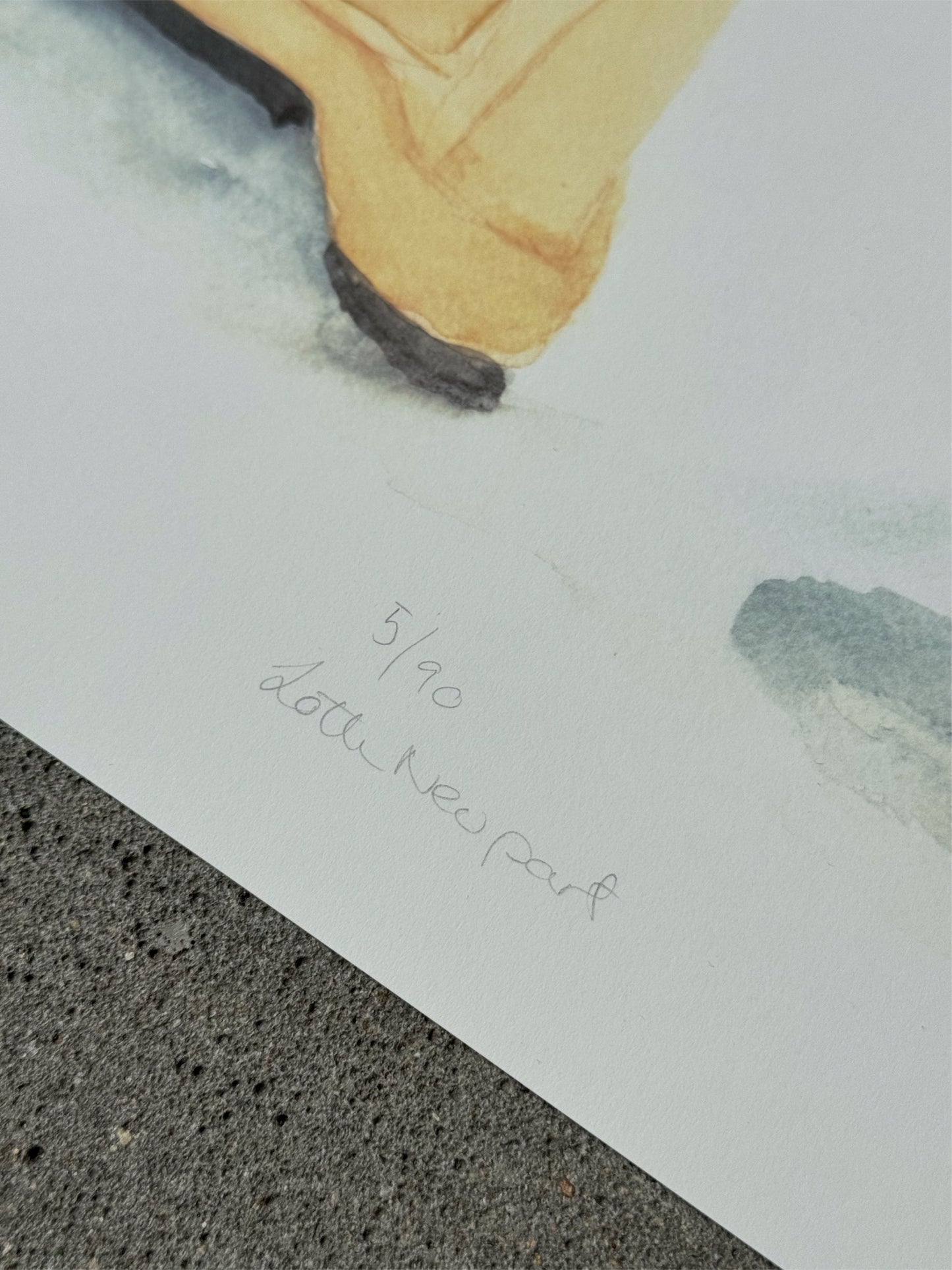 Torvets blomster - Lotte Neupart