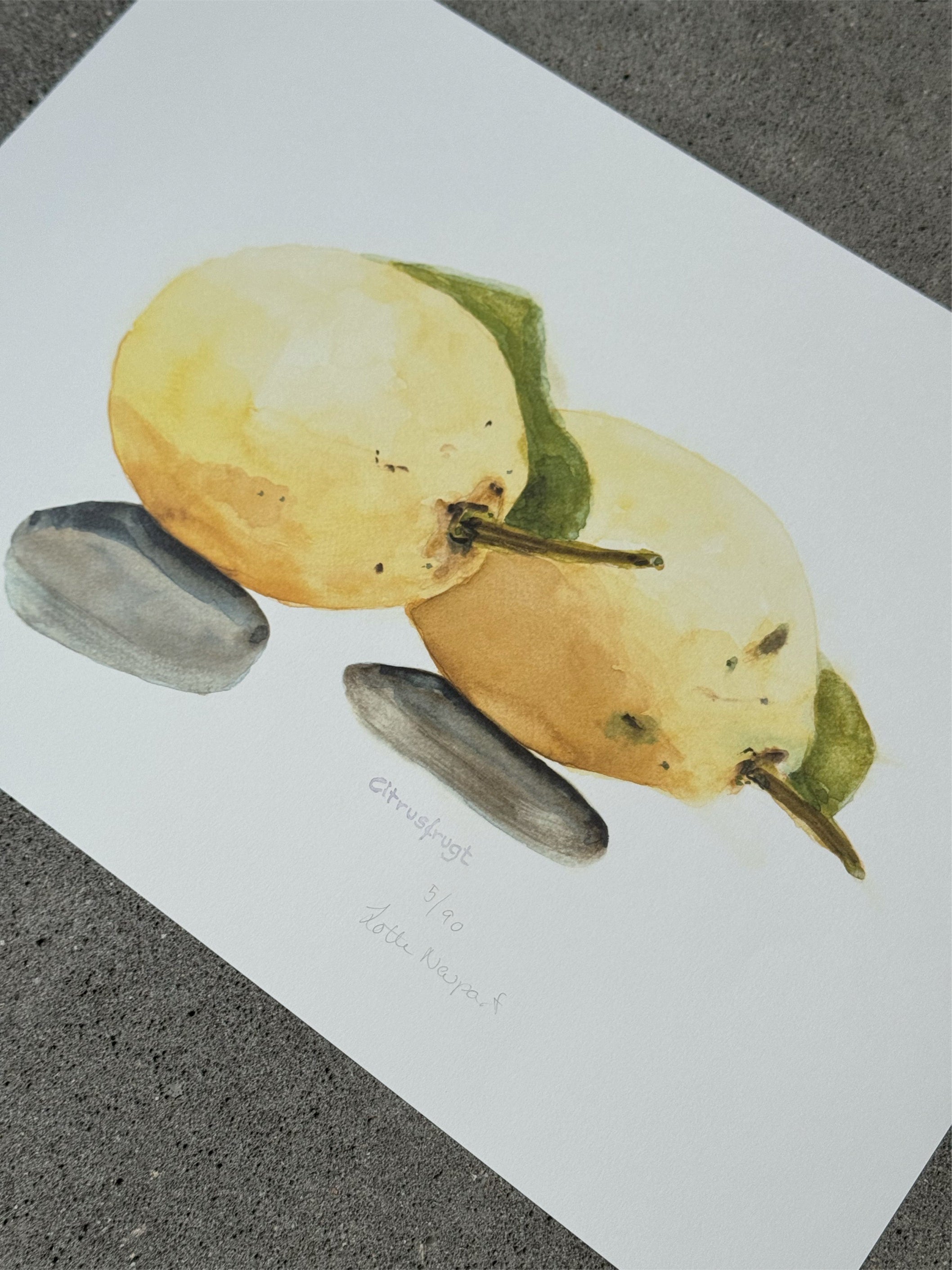 Citrusfrugt