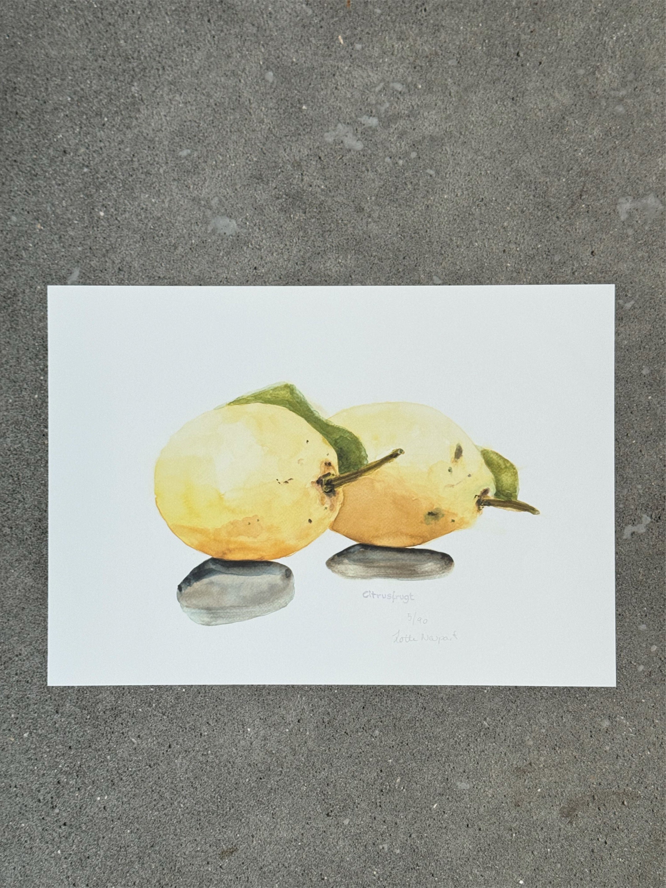 Citrusfrugt
