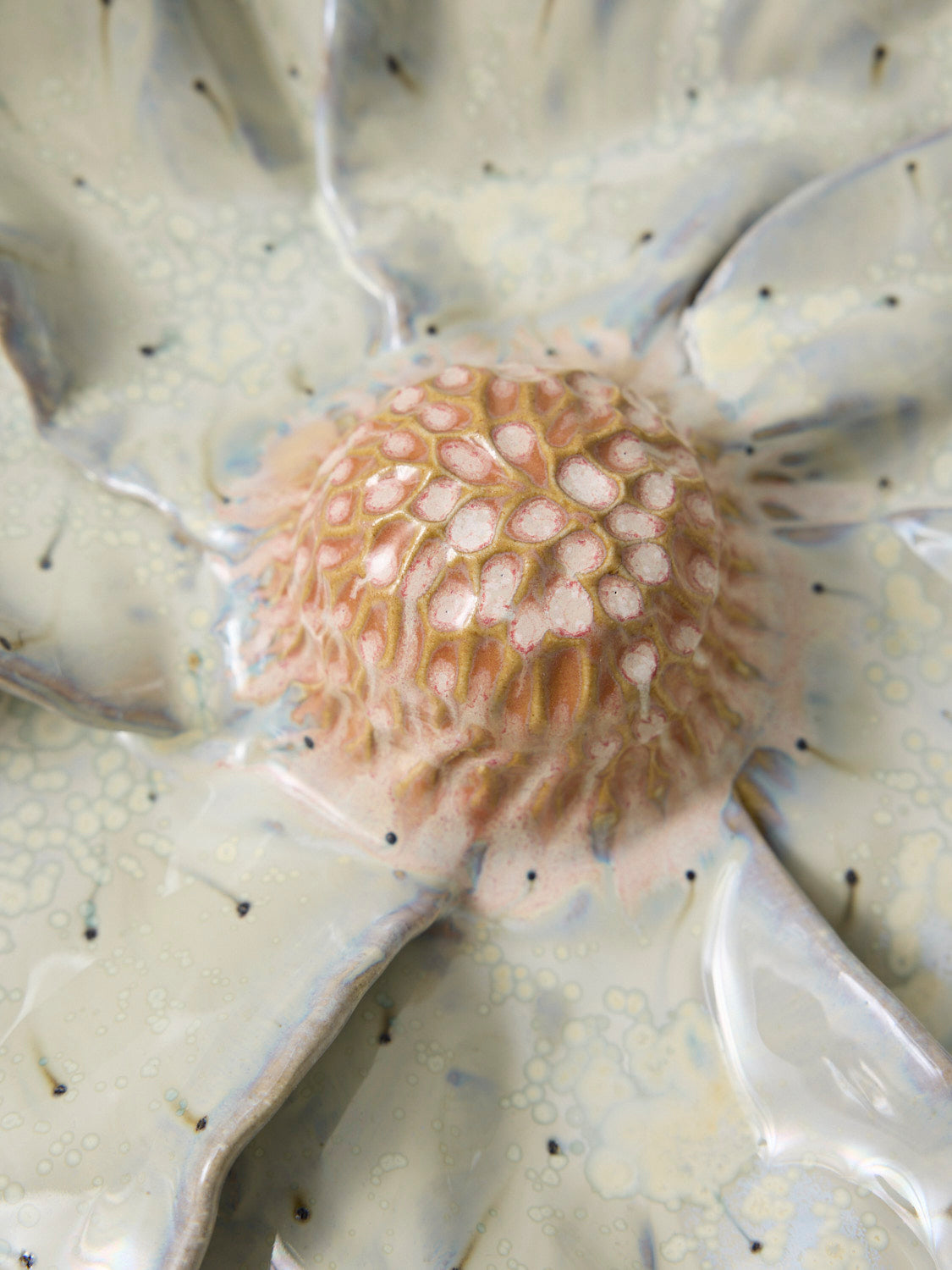 Anemone Ø42
