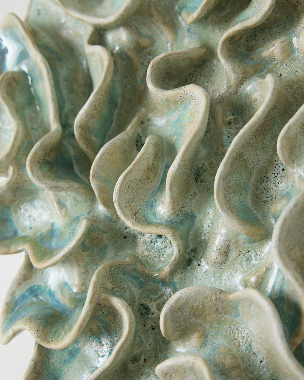 Algae Forming
