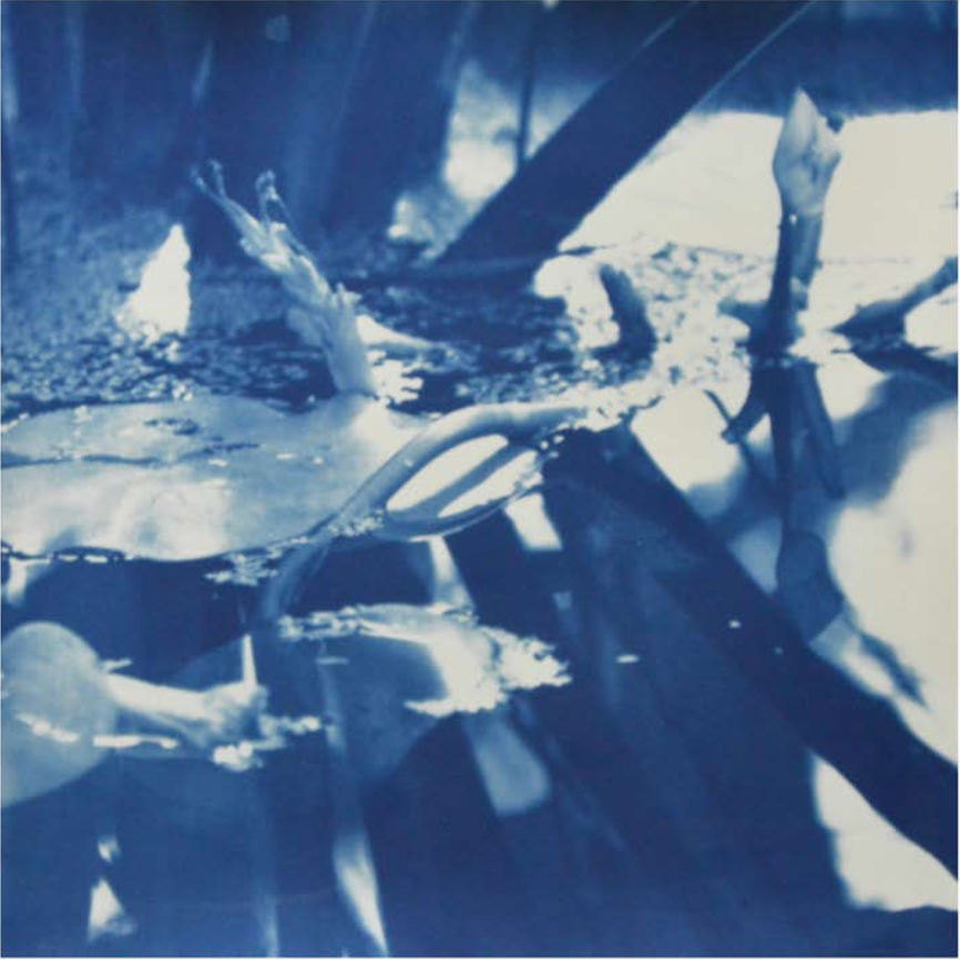 Kew Garden 1 - Katrine Lyck