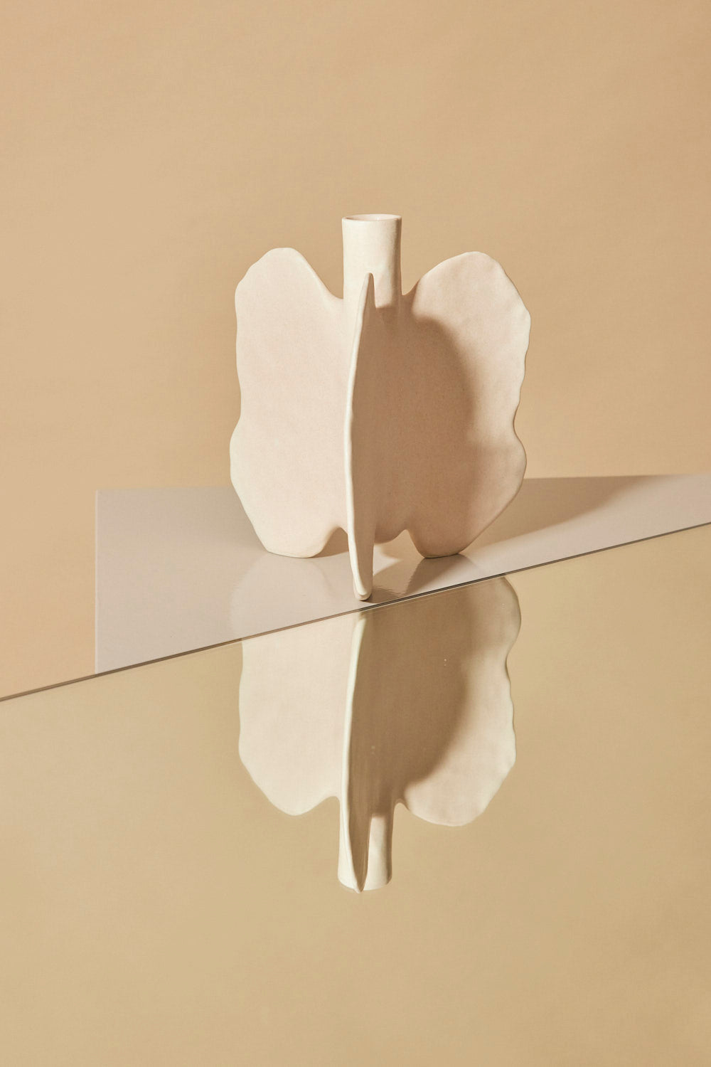 Butterfly lungs 2