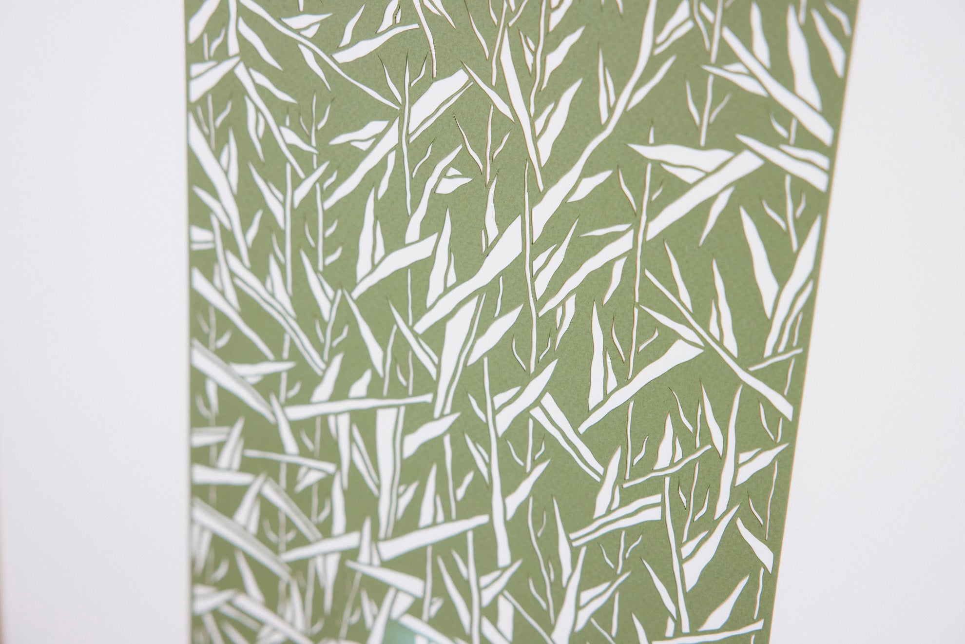 Bamboo