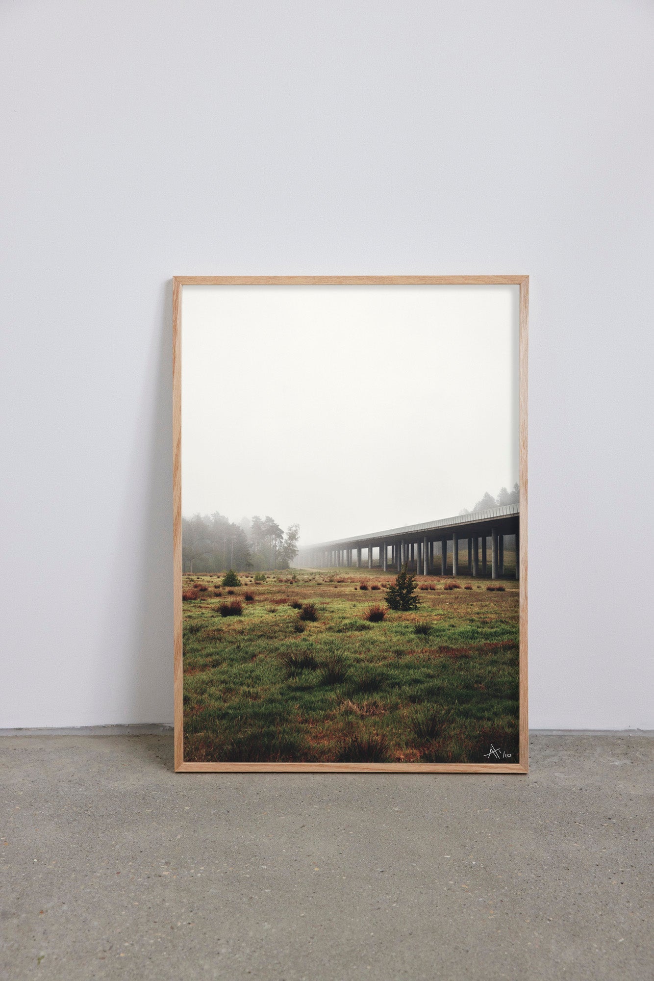 Highway Forest #1 - Andreas Houmann