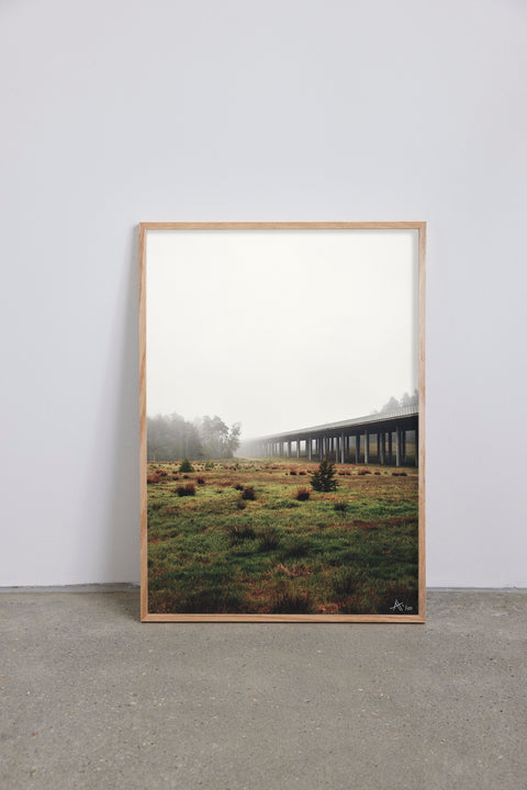Highway Forest #1
