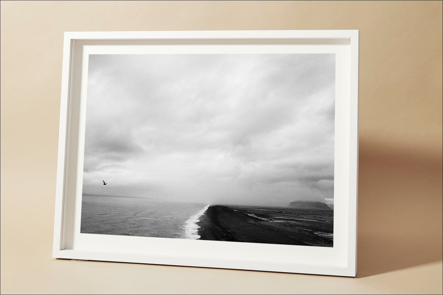 Andreas Houmann - Iceland, Black Beach Bird #1