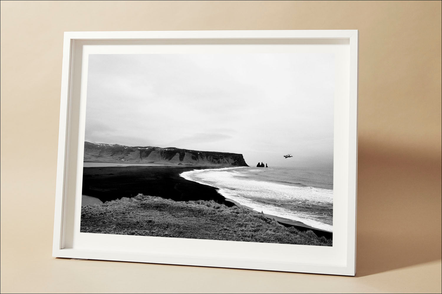 Iceland, Black Beach Bird #2