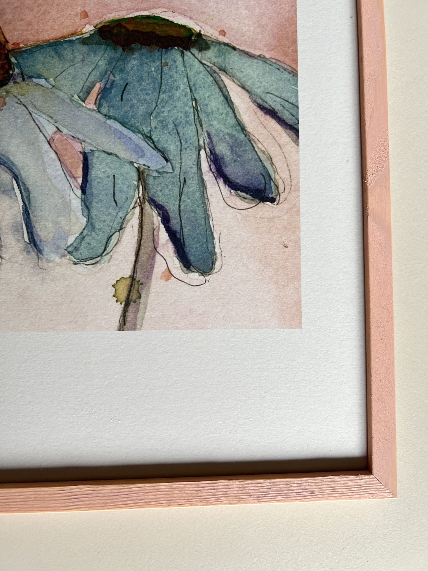 Lotte Neupart - Solhat Rosa 1