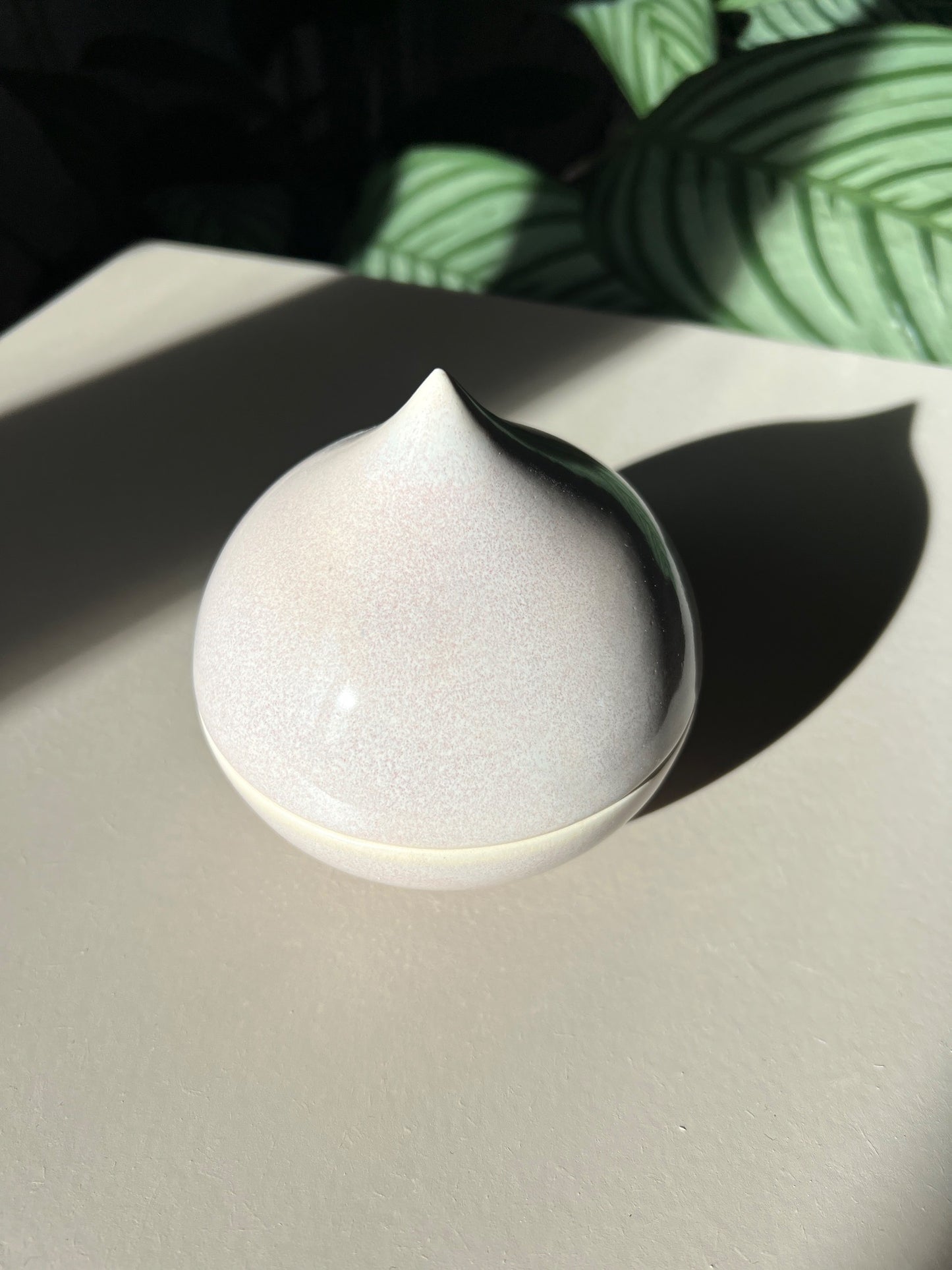 Thora Finnsdottir - Kiss Bonbonniere