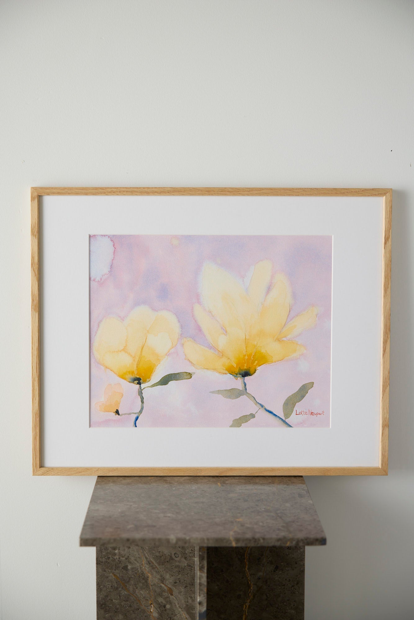 Gule Magnolia