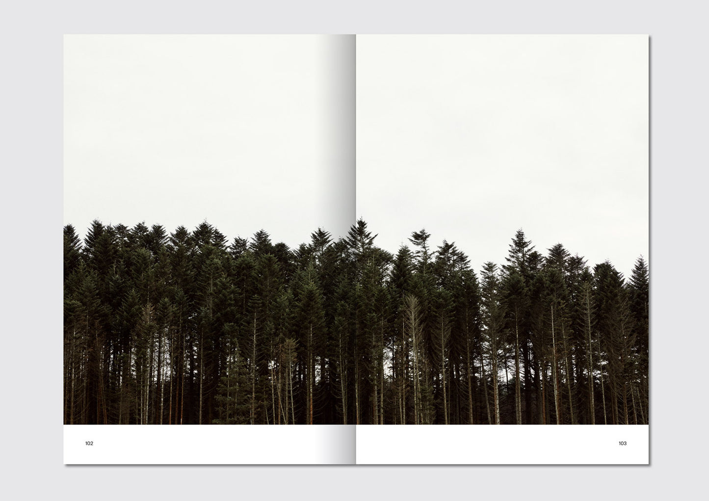 Bog "Talentet i Thy" - Andreas Houmann