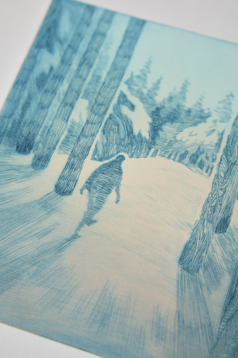 Hill in the woods