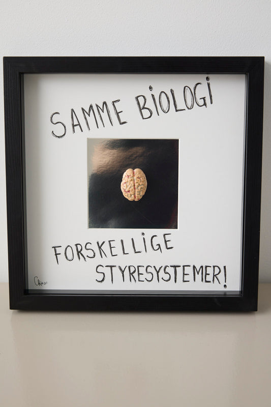 Hjerne #1 - Camilla Riise