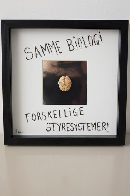 Hjerne #2- Camilla Riise