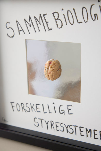 Hjerne #3- Camilla Riise