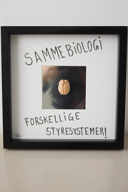 Hjerne #3- Camilla Riise
