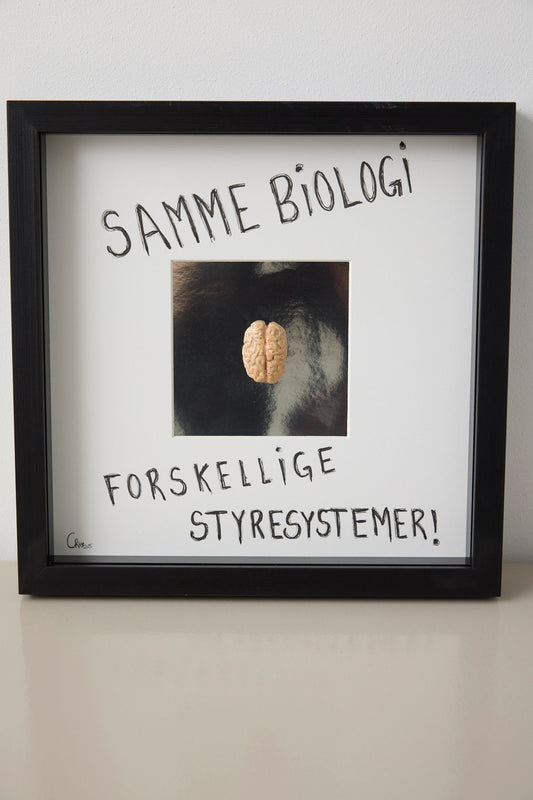 Hjerne #4- Camilla Riise