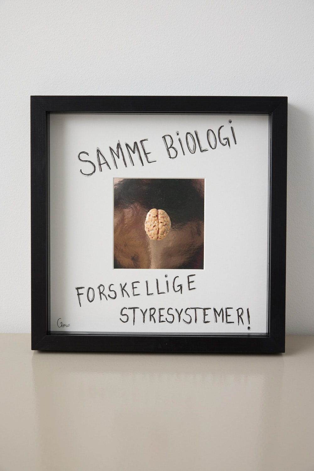 Hjerne #5 - Camilla Riise