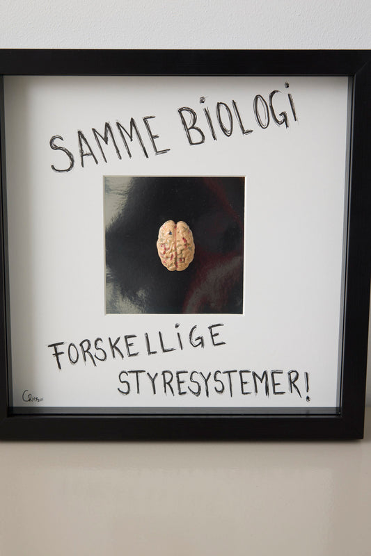 Hjerne #6 - Camilla Riise