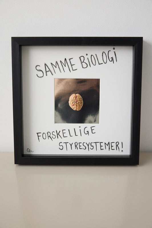 Hjerne #8 - Camilla Riise