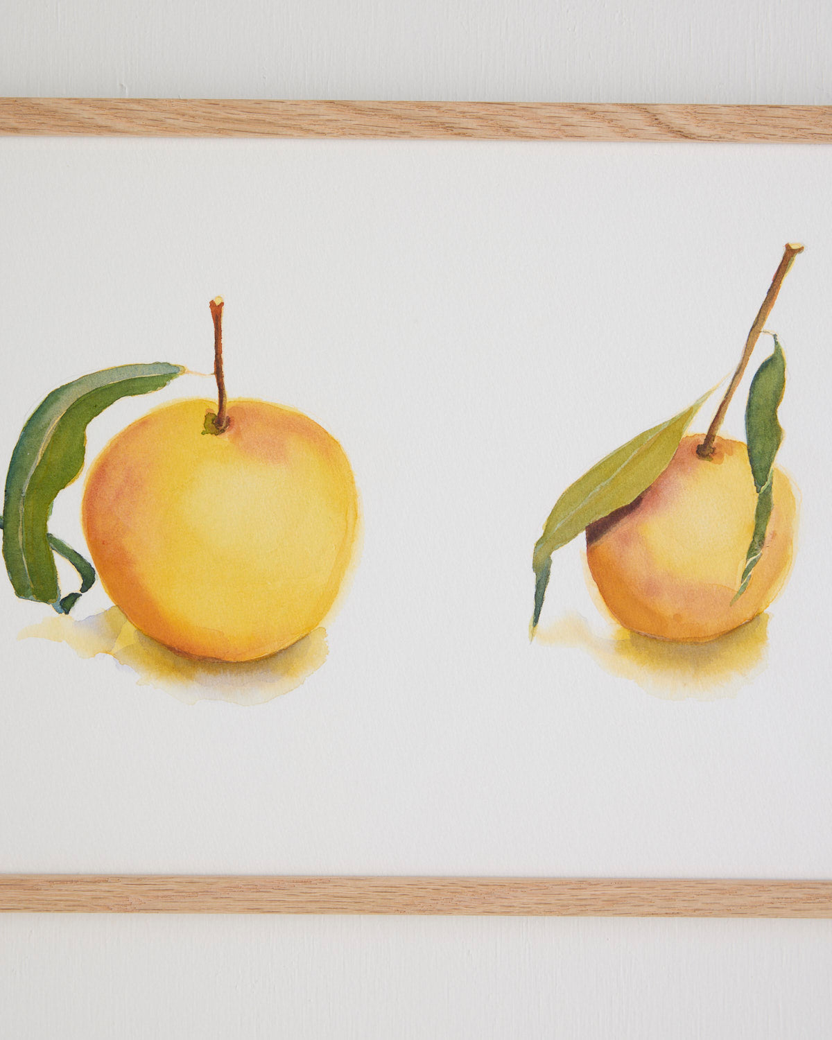 Citrusfrugt med blade