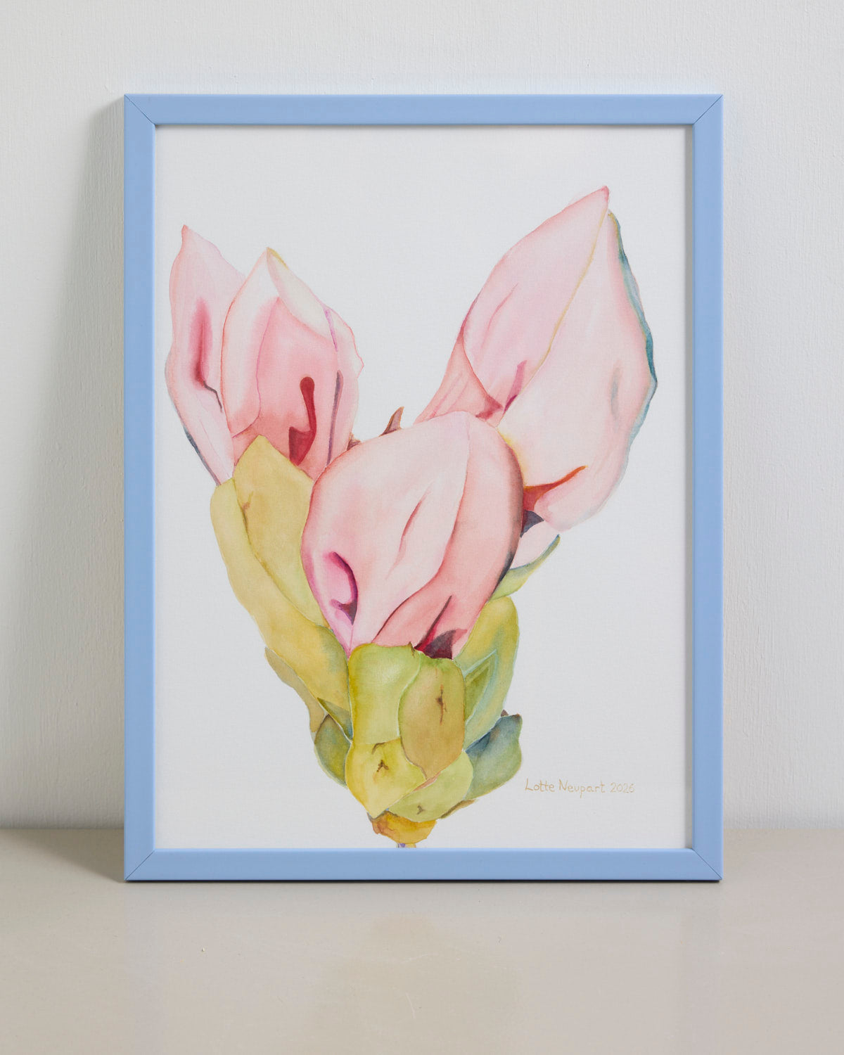 Rhododendronknop - blomsterknop