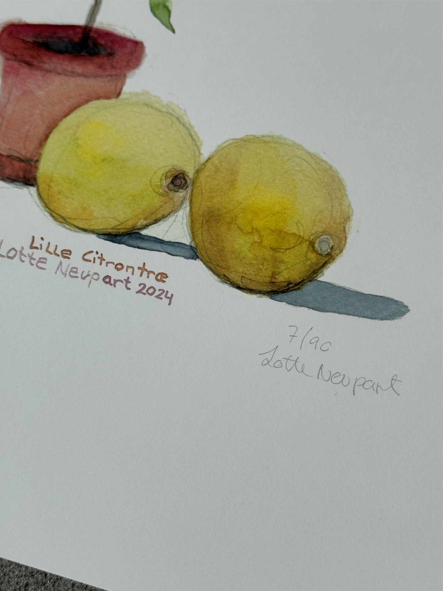 Lille Citrontræ - Lotte Neupart