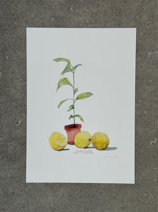 Lille Citrontræ - Lotte Neupart