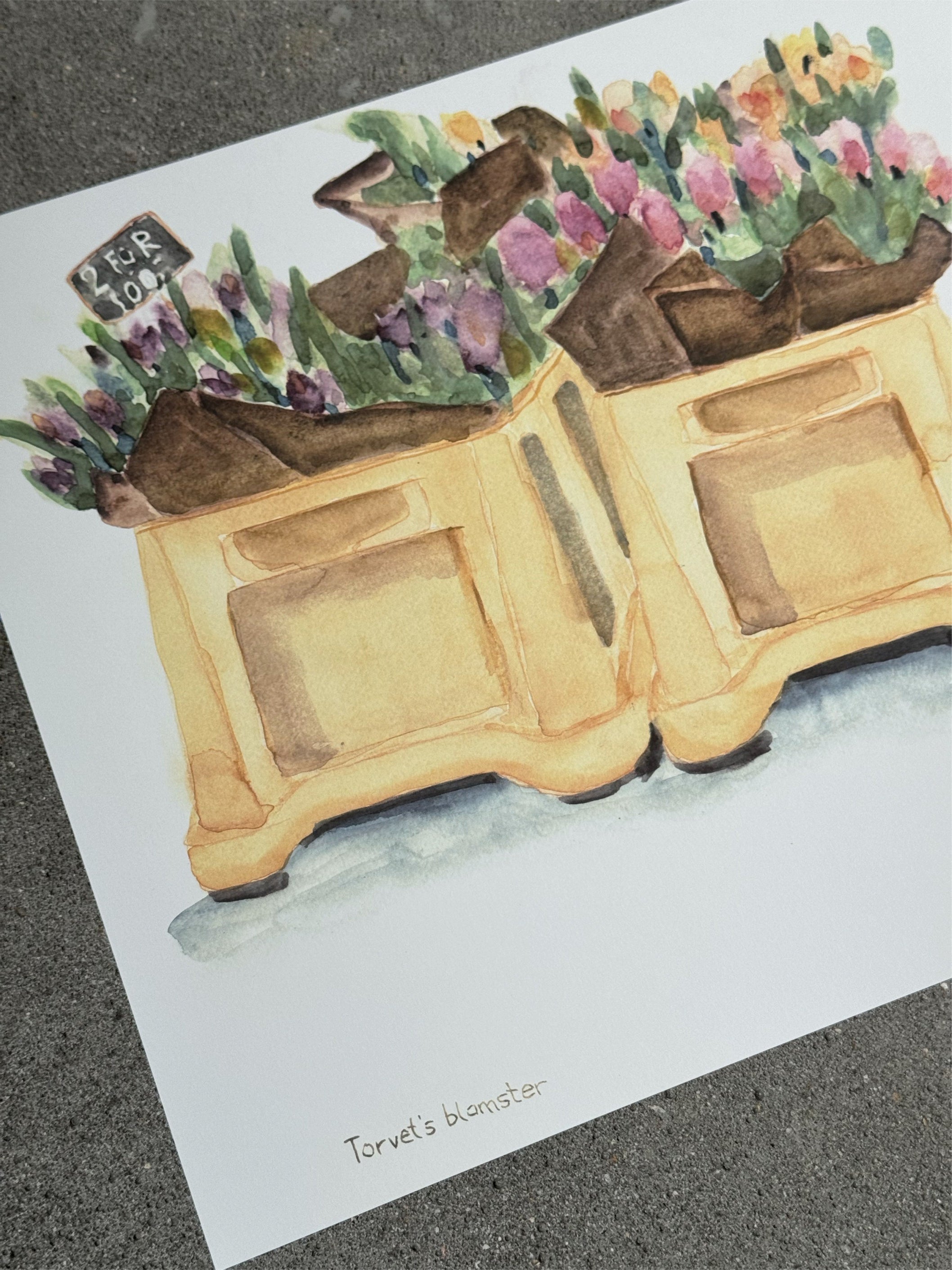 Torvets blomster
