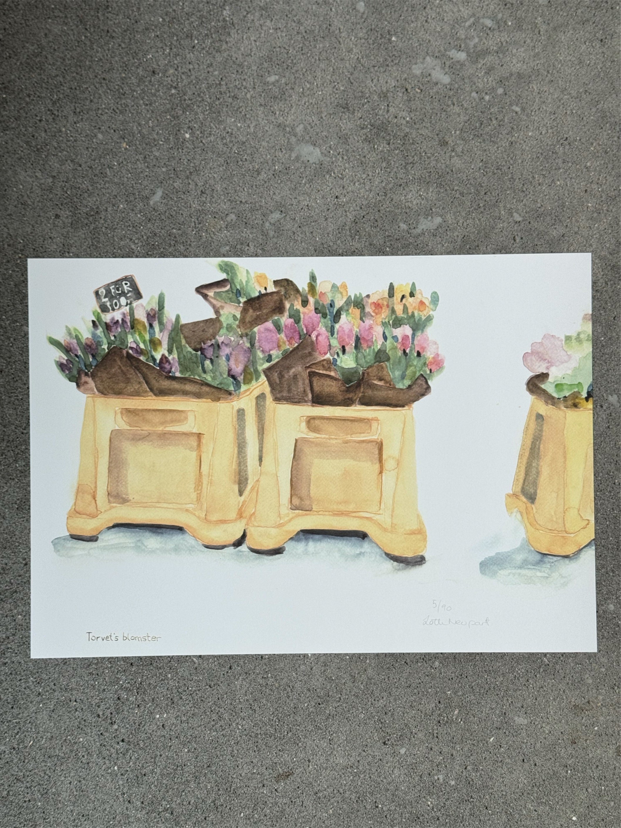 Torvets blomster
