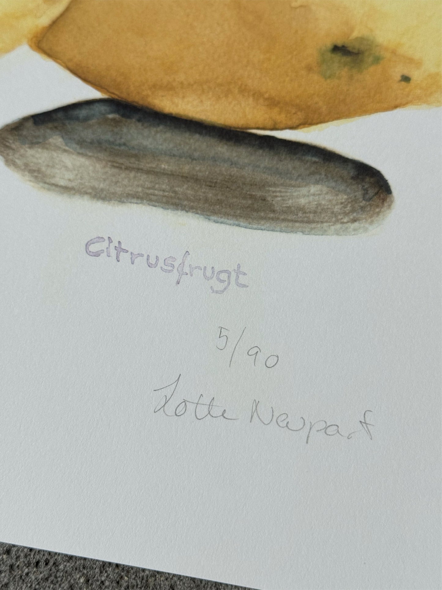 Citrusfrugt - Lotte Neupart