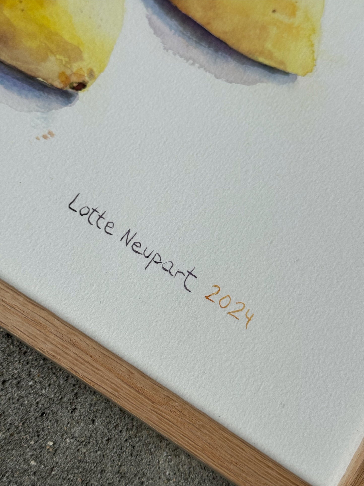Citroner - Lotte Neupart