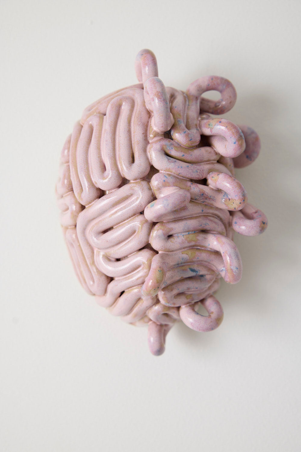 Krøllet Hjerne No. 59 - Hulda Rún