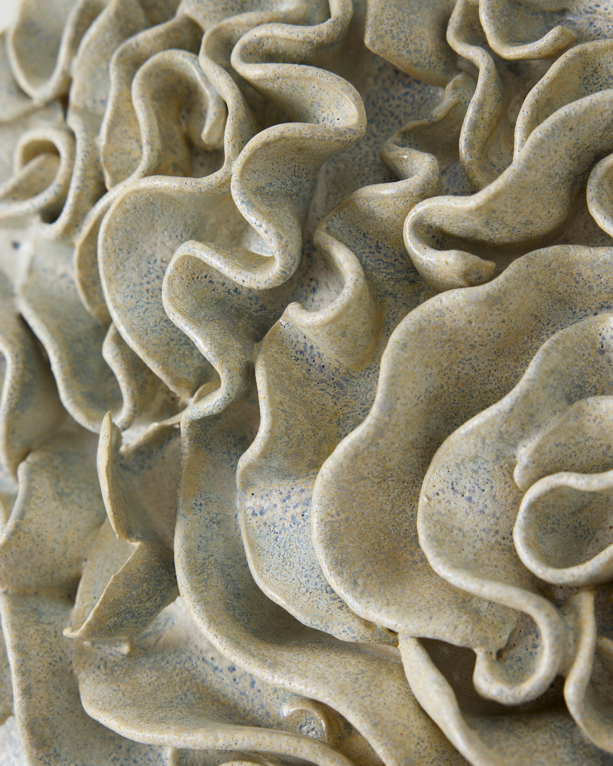 Fungus forming - Thora Finnsdottir