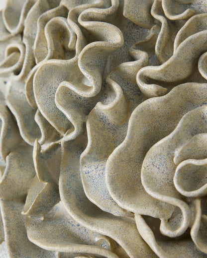 Fungus forming - Thora Finnsdottir