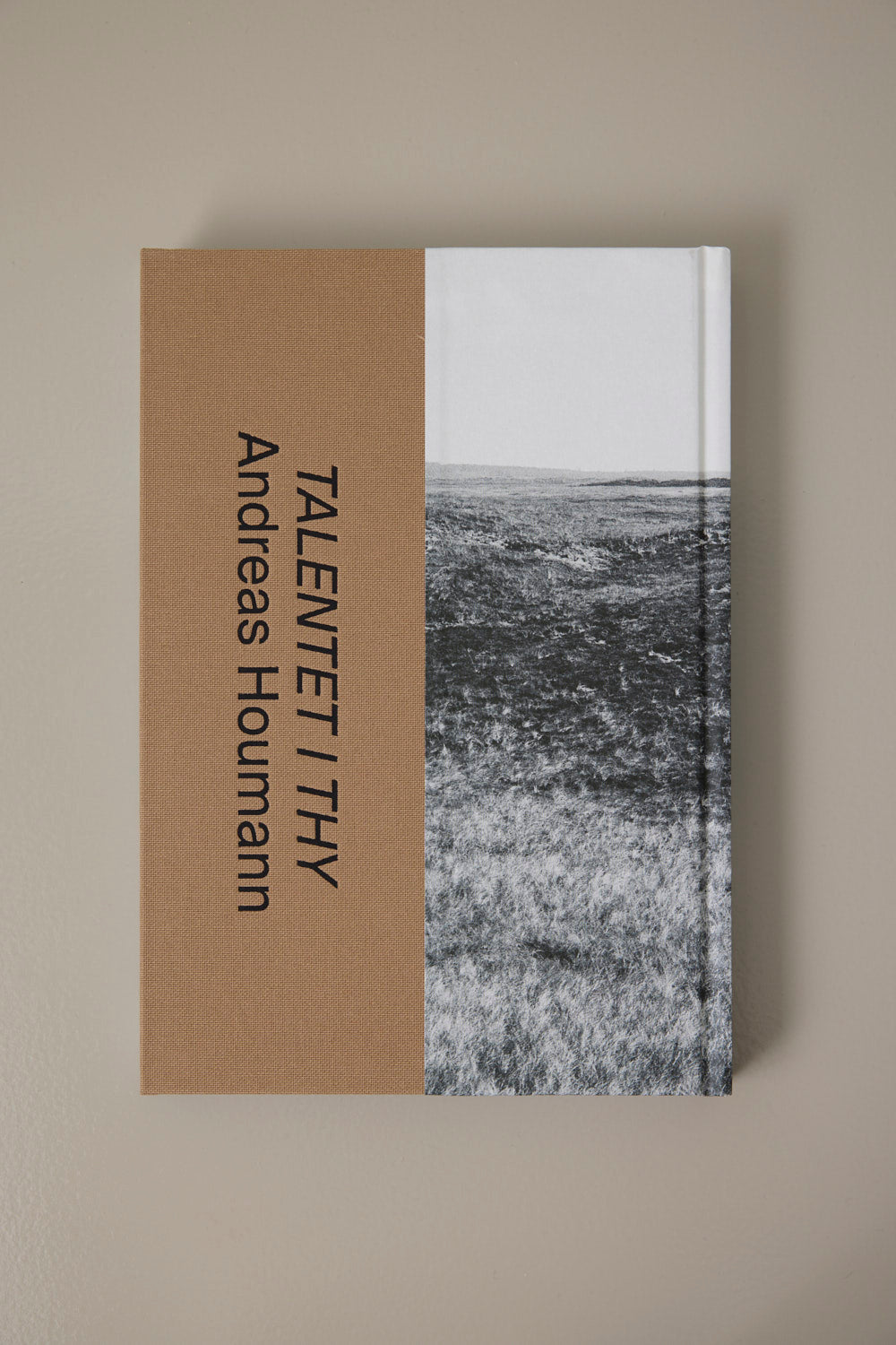 Bog "Talentet i Thy" - Andreas Houmann