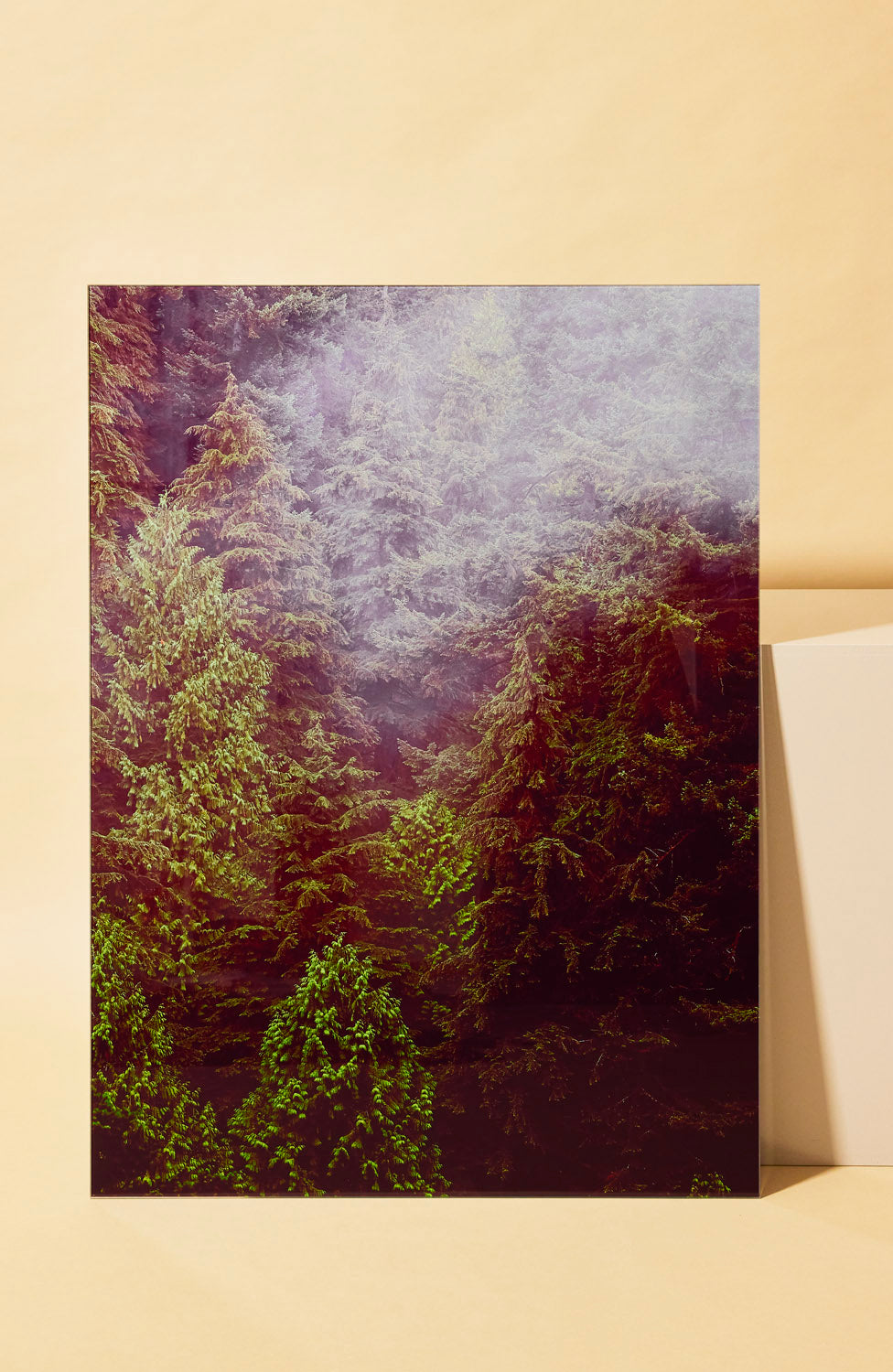 Vancouver Forrest