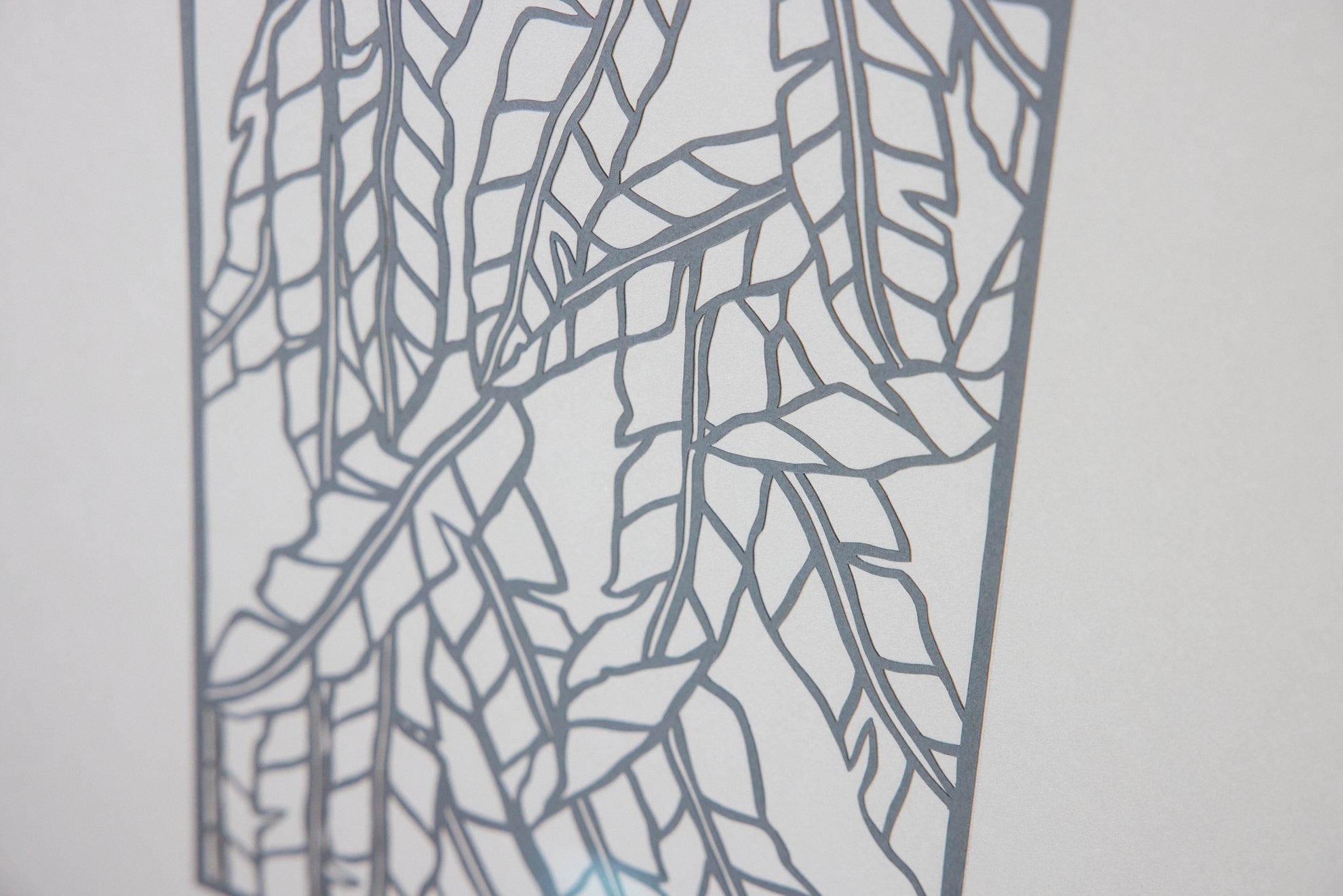 Palm